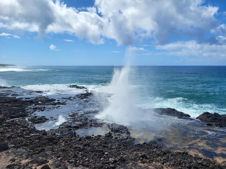 Spouting Horn Park